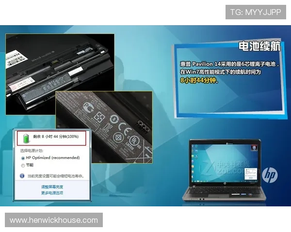 pa电子电脑版官网官方最新消息与行业动态全面解析